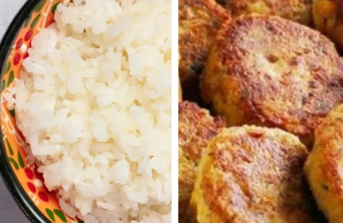 Shami Kabab with rice